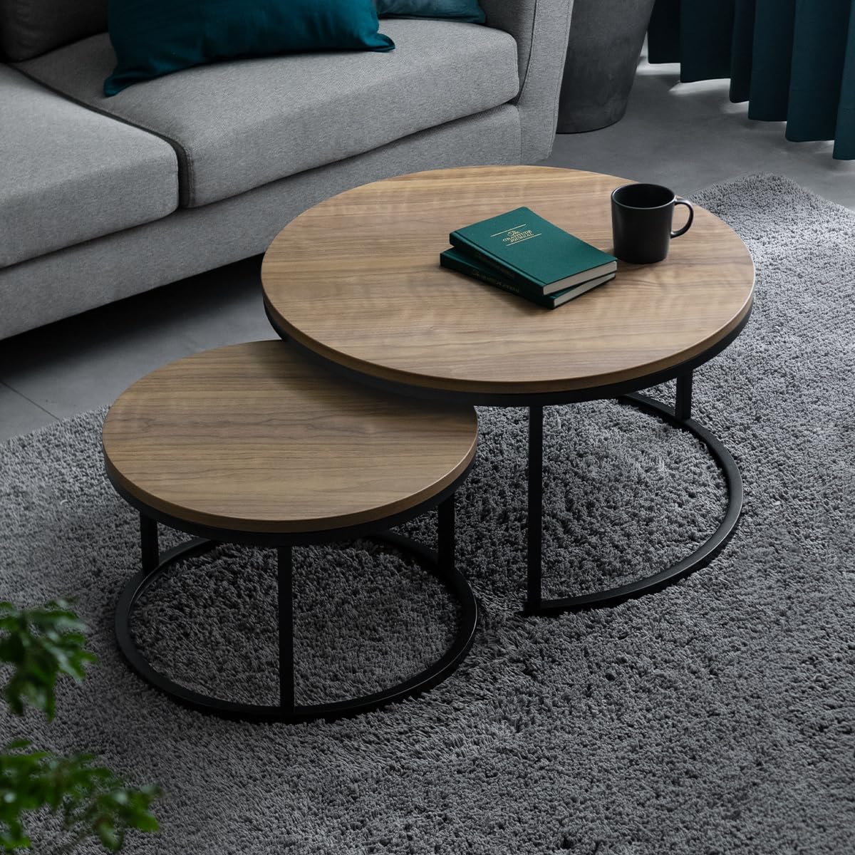 極美品】de Sede デセデ アームチェア DS-102 オットマン付 極美品】de